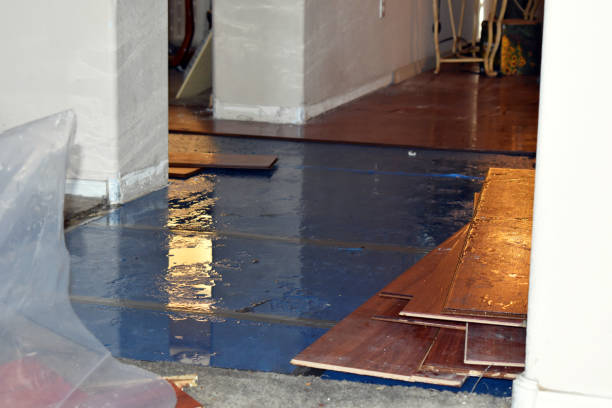 Professional Basement Flood Cleanup technician working in Statham, GA
